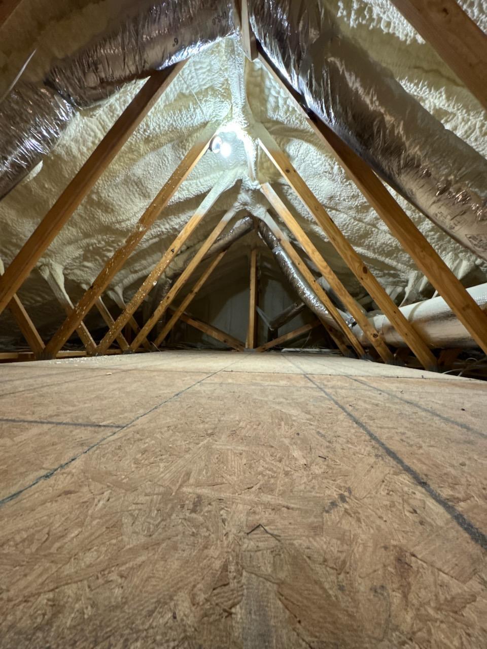 1650 Caswell Road DeFuniak Springs, FL 32433 - Photo 29 of 73 attic1