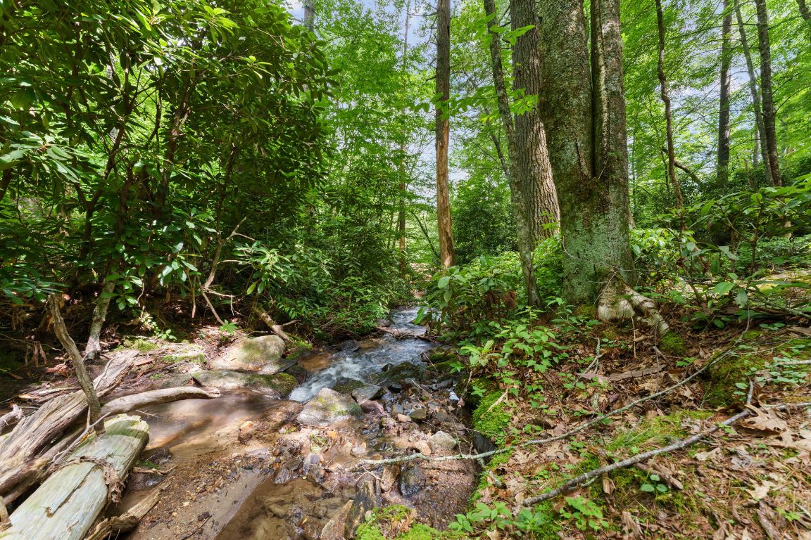 293 Gem Creek Road Cullowhee, NC 28723 - Photo 38 of 48 Gallery Image 38