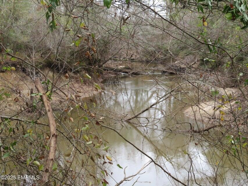 301 Co Road Heidelberg, MS 39439 - Photo 23 of 28 20251204213624578450000000-o