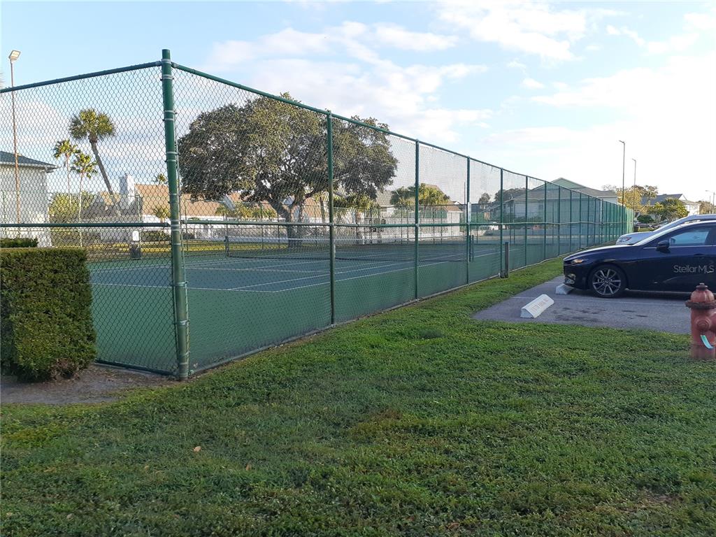 455 Alt 19, Unit 16 Palm Harbor, FL 34683 - Photo 21 of 25 a view of a backyard