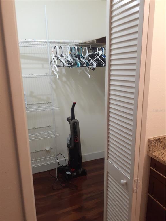455 Alt 19, Unit 16 Palm Harbor, FL 34683 - Photo 9 of 25 a view of walk in closet