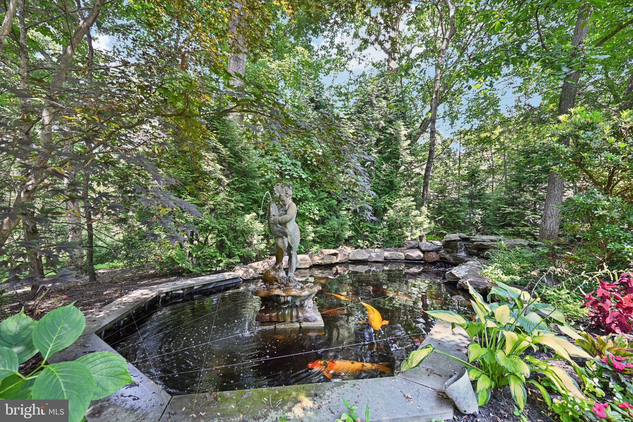 12 Cove Road Moorestown, NJ 08057 - Photo 59 of 67 Amazing Koi Pond