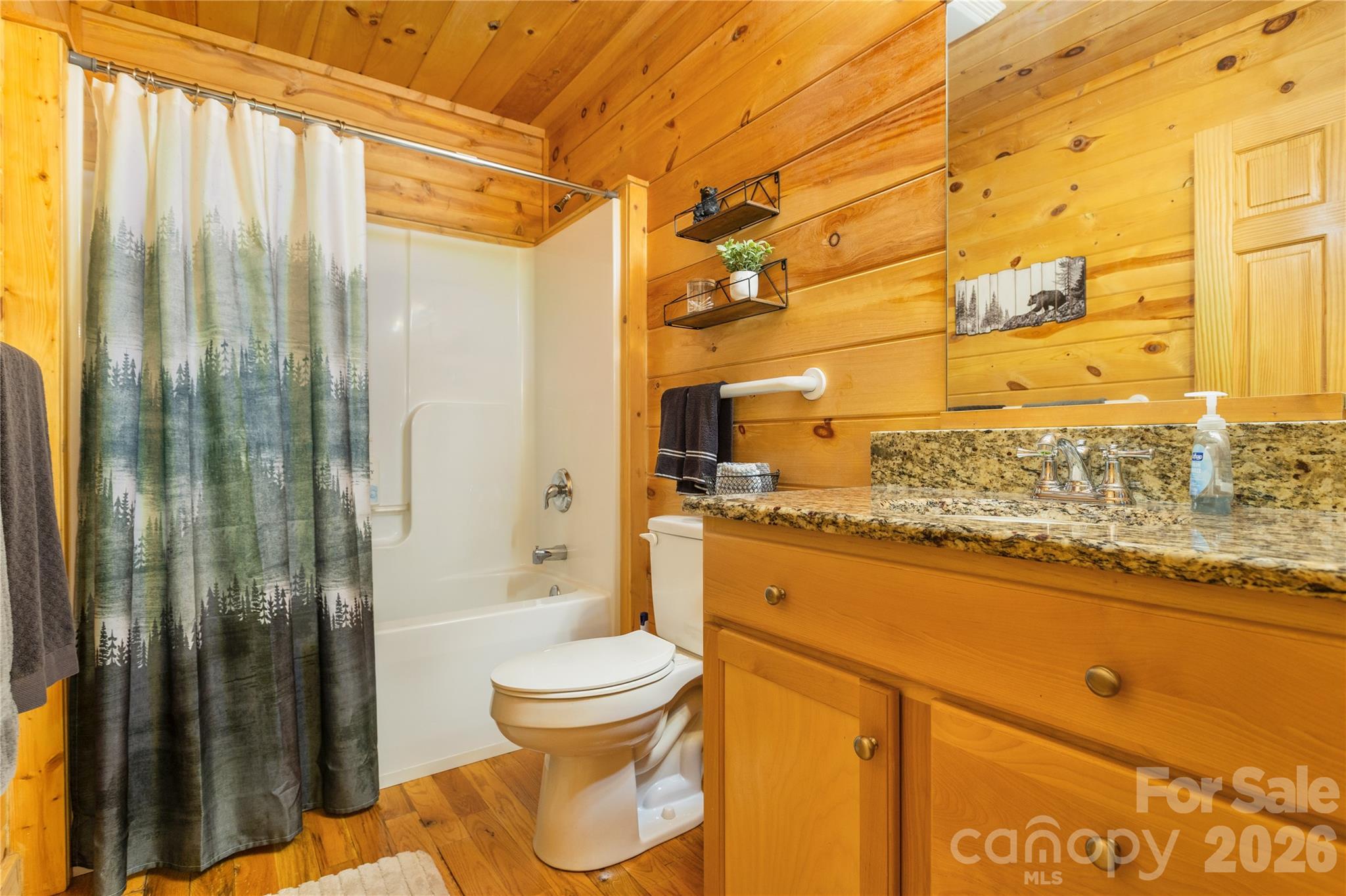 134 Quebec Trail Bostic, NC 28018 - Photo 11 of 17