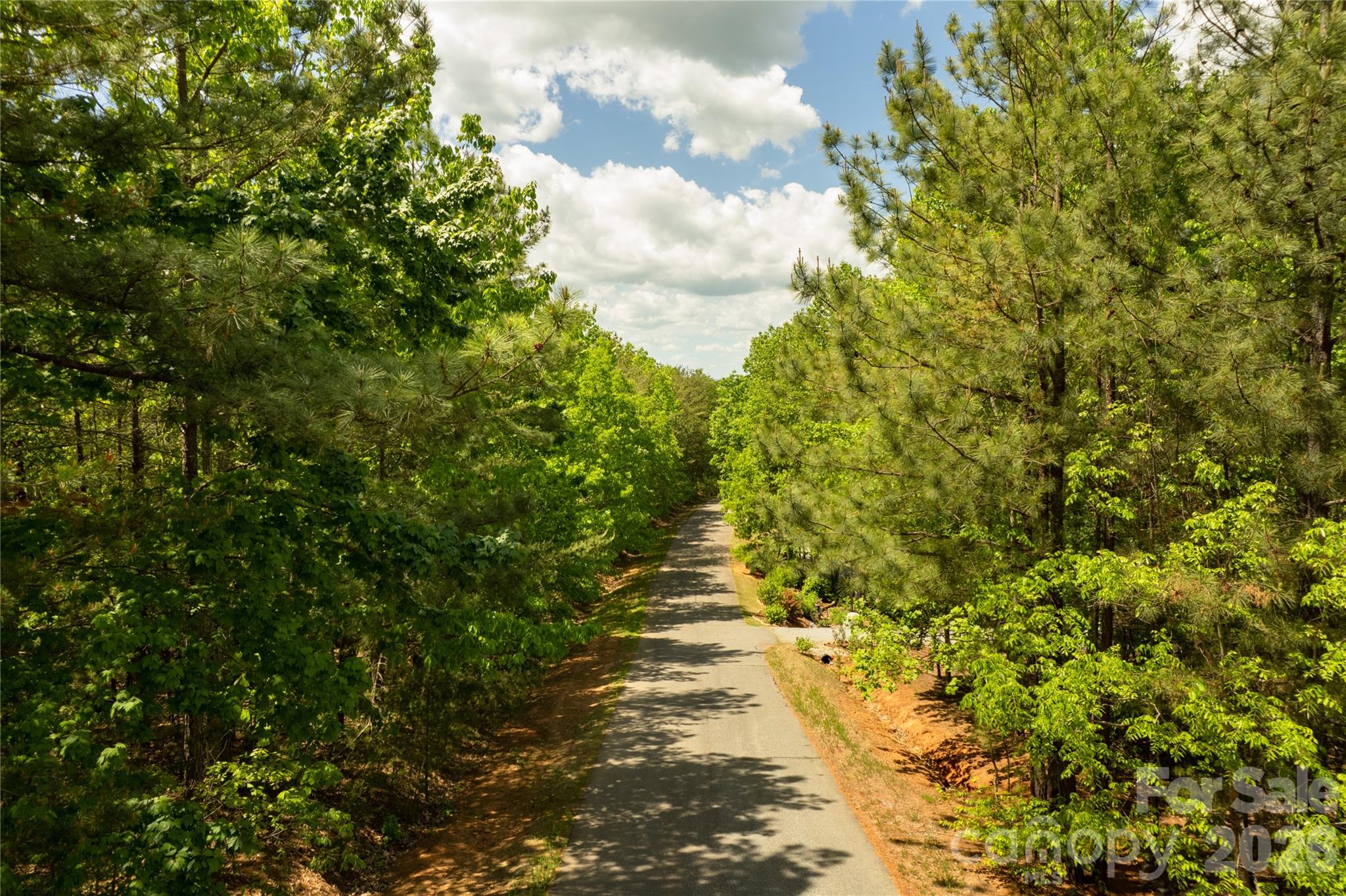 134 Quebec Trail Bostic, NC 28018 - Photo 15 of 17