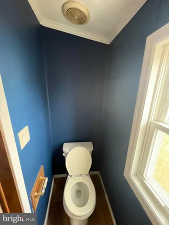 a white toilet sitting next to a window