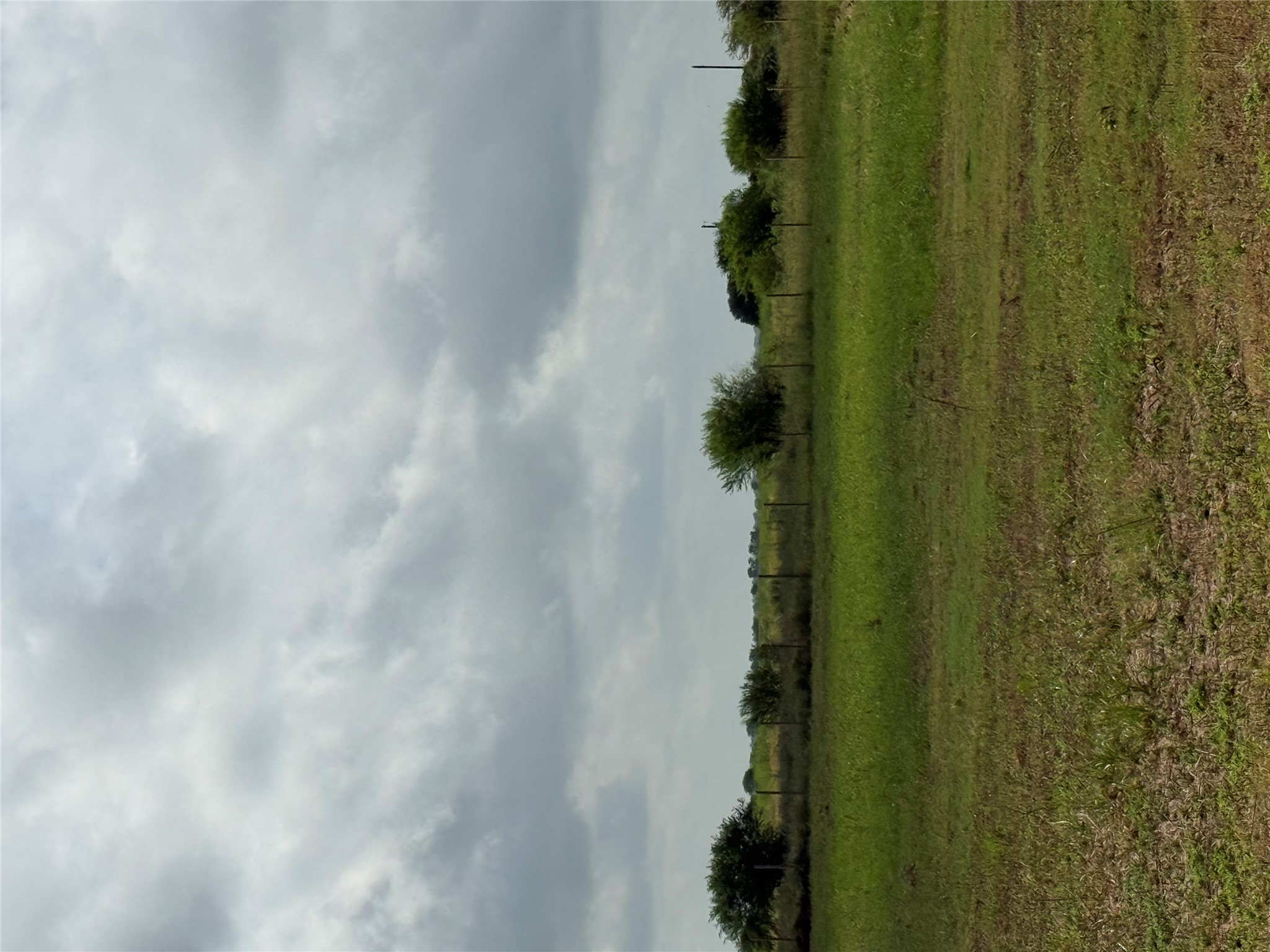 1993 FM 2761 Road Cat Spring, TX 78933 - Photo 8 of 13 Gallery Image 8