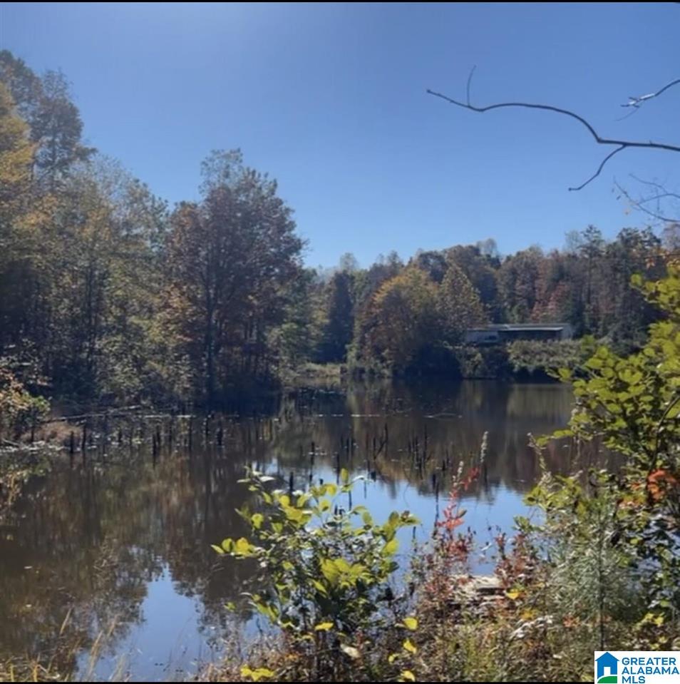 300 Henderson Lake Road Sylacauga, AL 35151 - Photo 20 of 20