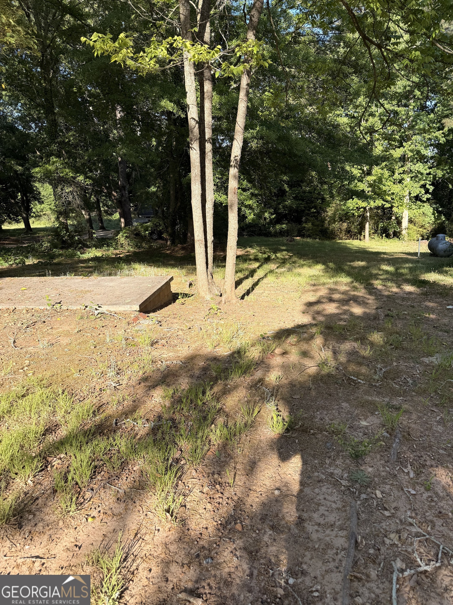 217 South Broad Street Winder, GA 30680 - Photo 2 of 4 a view of a yard with trees