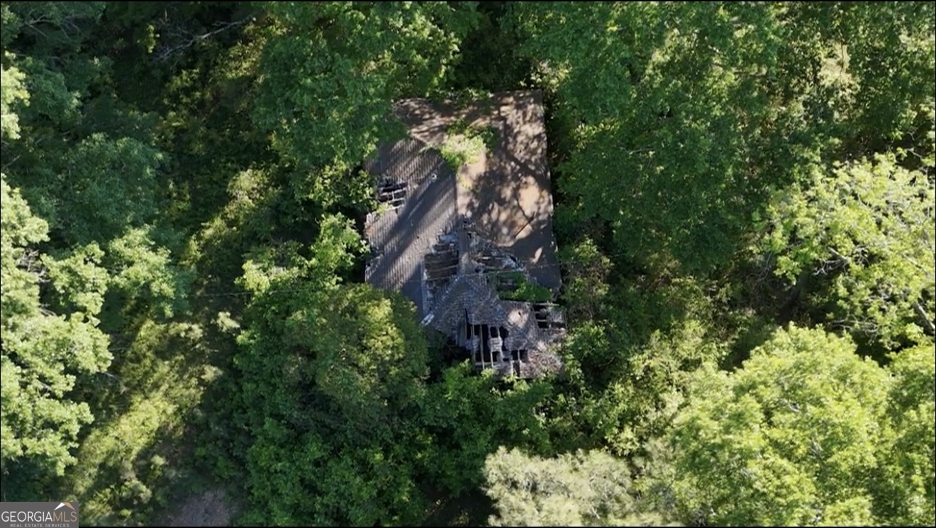 217 South Broad Street Winder, GA 30680 - Photo 4 of 4 a aerial view of a house with a lush green forest