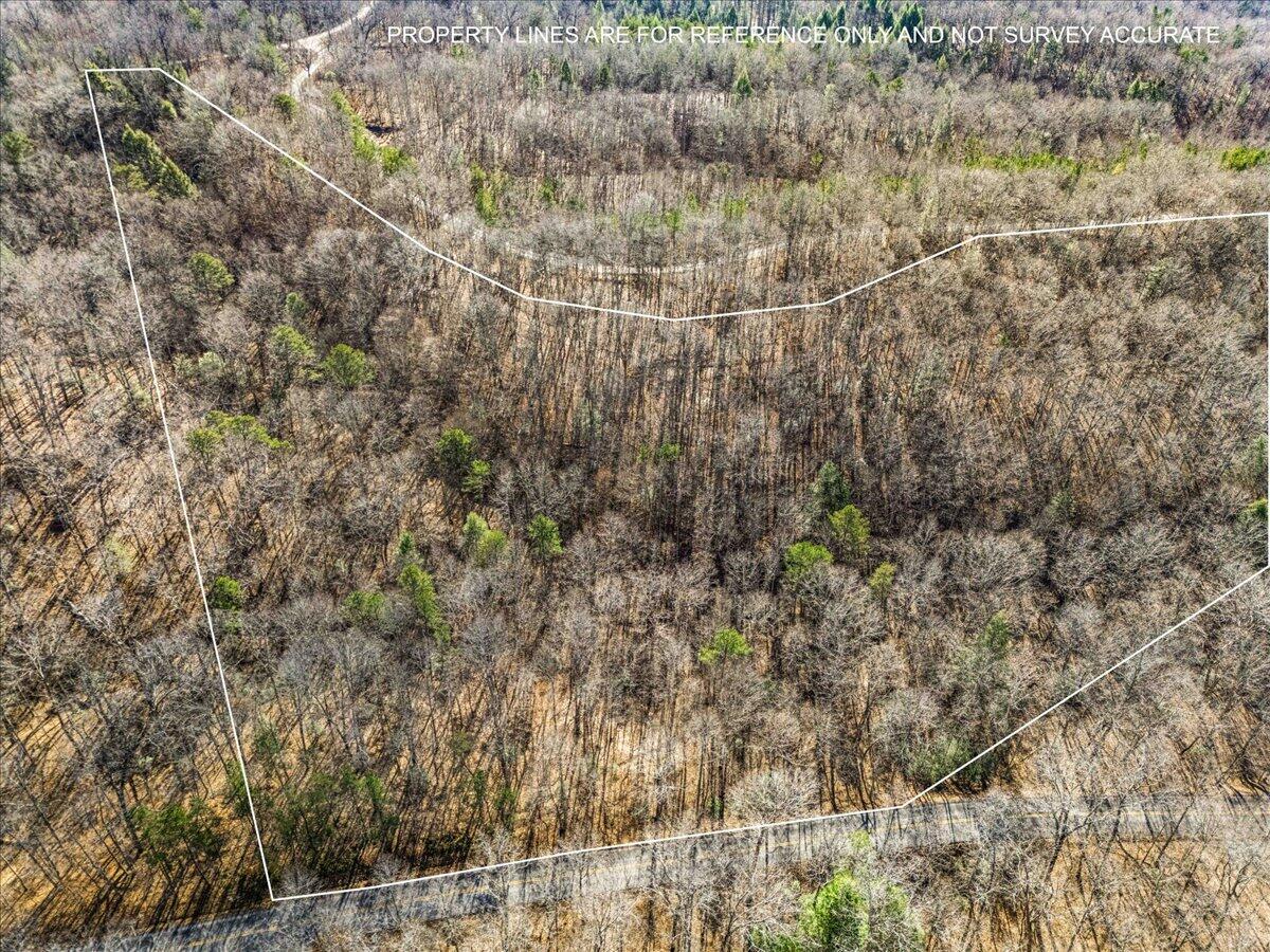 1111 Bee Creek Road Corbin, KY 40701 - Photo 16 of 38 04-Property Aerial