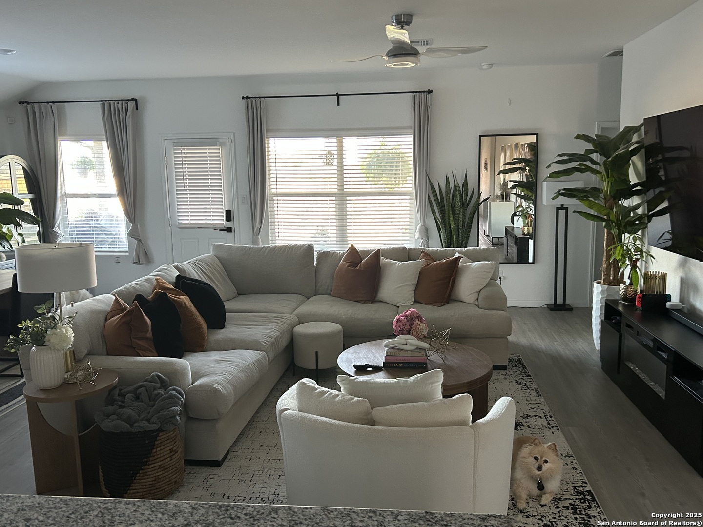 10127 Helios Heights Converse, TX 78109 - Photo 6 of 16 a living room with furniture a window and a flat screen tv
