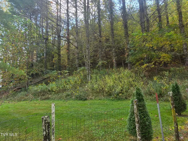 $275,000 | 123 McMahan Gibbs Road, Roan Mountain, TN 37687