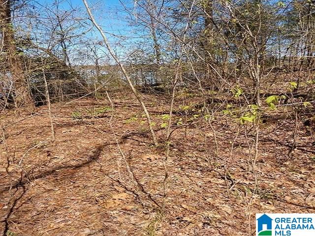 145 Naval Reserve Road, Unit 1 Bessemer, AL 35023 - Photo 7 of 7