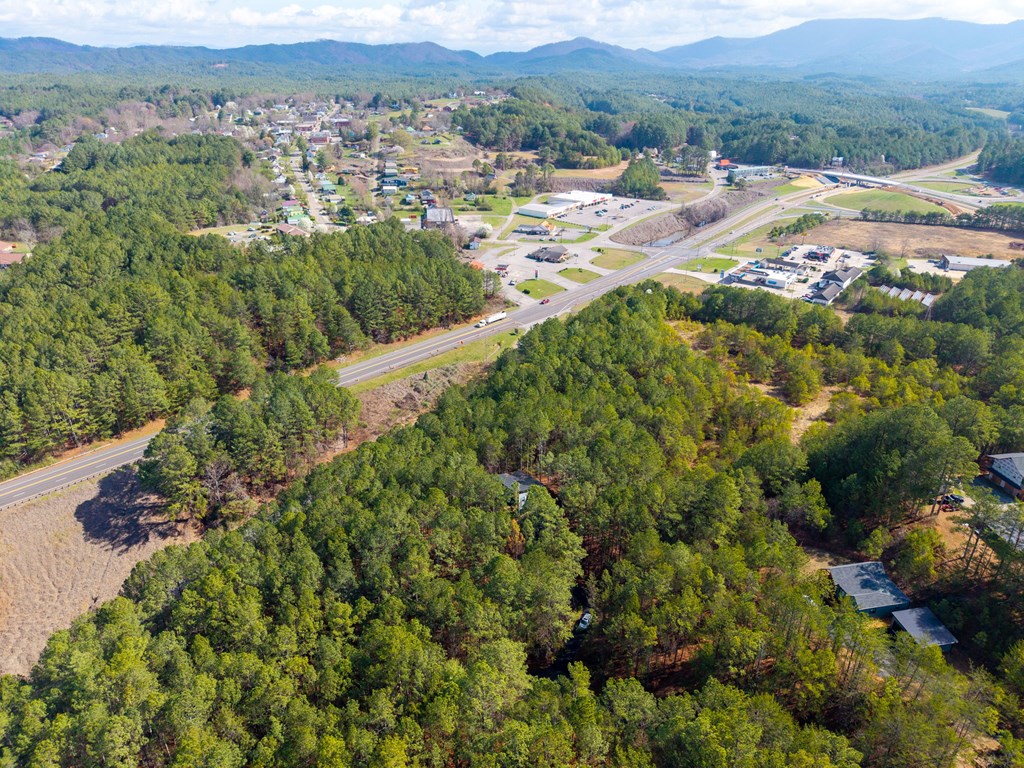 126 Hummingbird Way Copperhill, TN 37317 - Photo 11 of 47 an aerial view of residential house with outdoor space