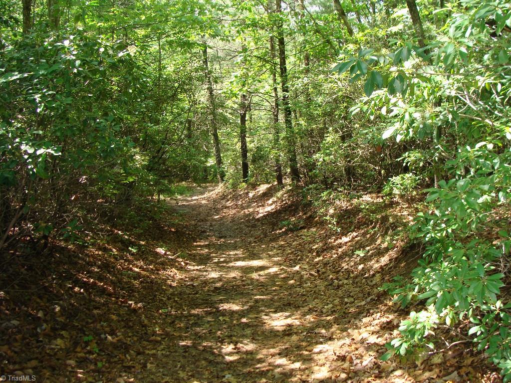Lot #1 Raven Ridge Trail Dobson, NC 27017 - Photo 1 of 4 Gallery Image 1