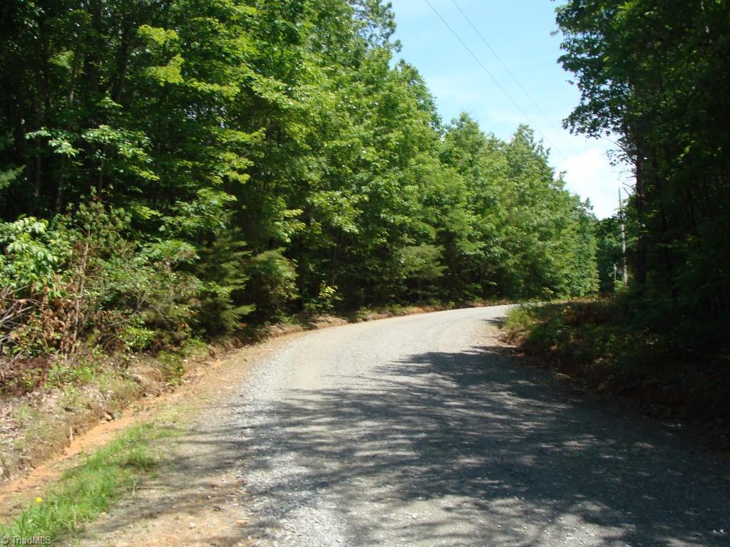 Lot #1 Raven Ridge Trail Dobson, NC 27017 - Photo 2 of 4 Gallery Image 2