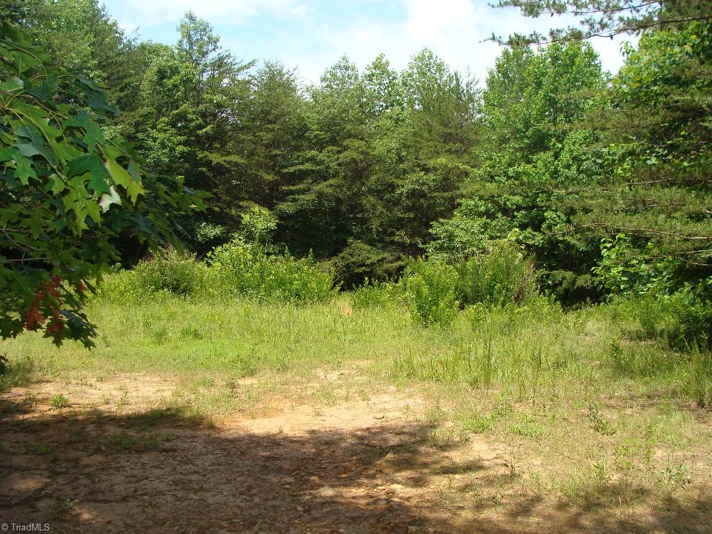 Lot #1 Raven Ridge Trail Dobson, NC 27017 - Photo 3 of 4 Gallery Image 3