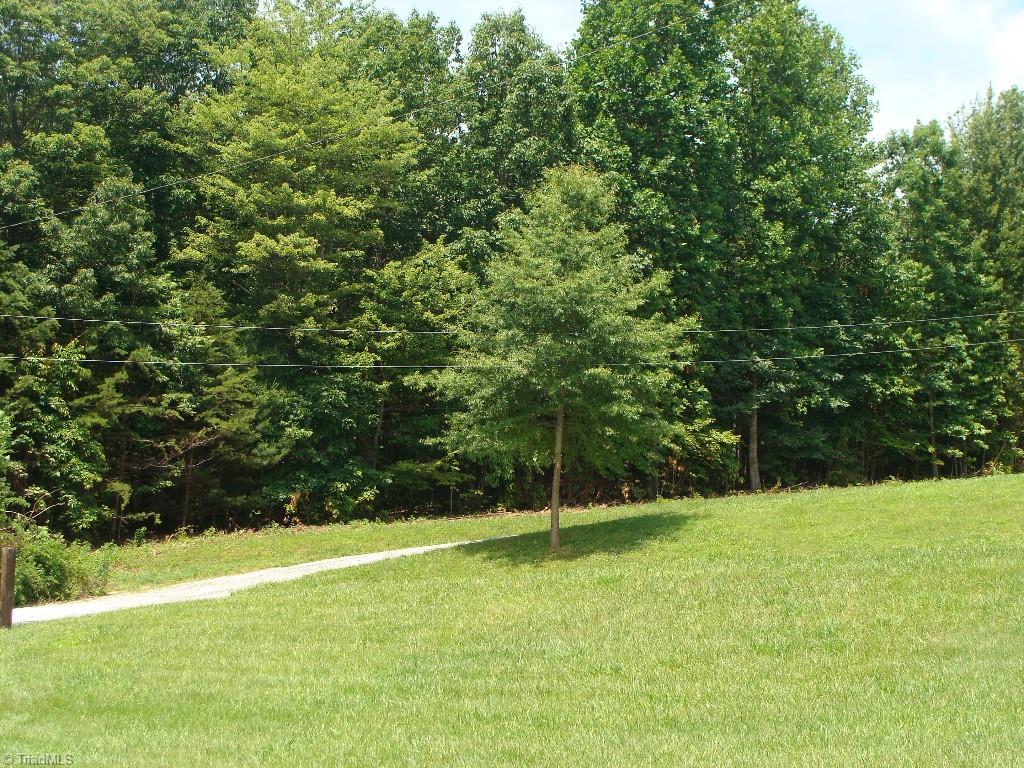 Lot #1 Raven Ridge Trail Dobson, NC 27017 - Photo 4 of 4 Gallery Image 4