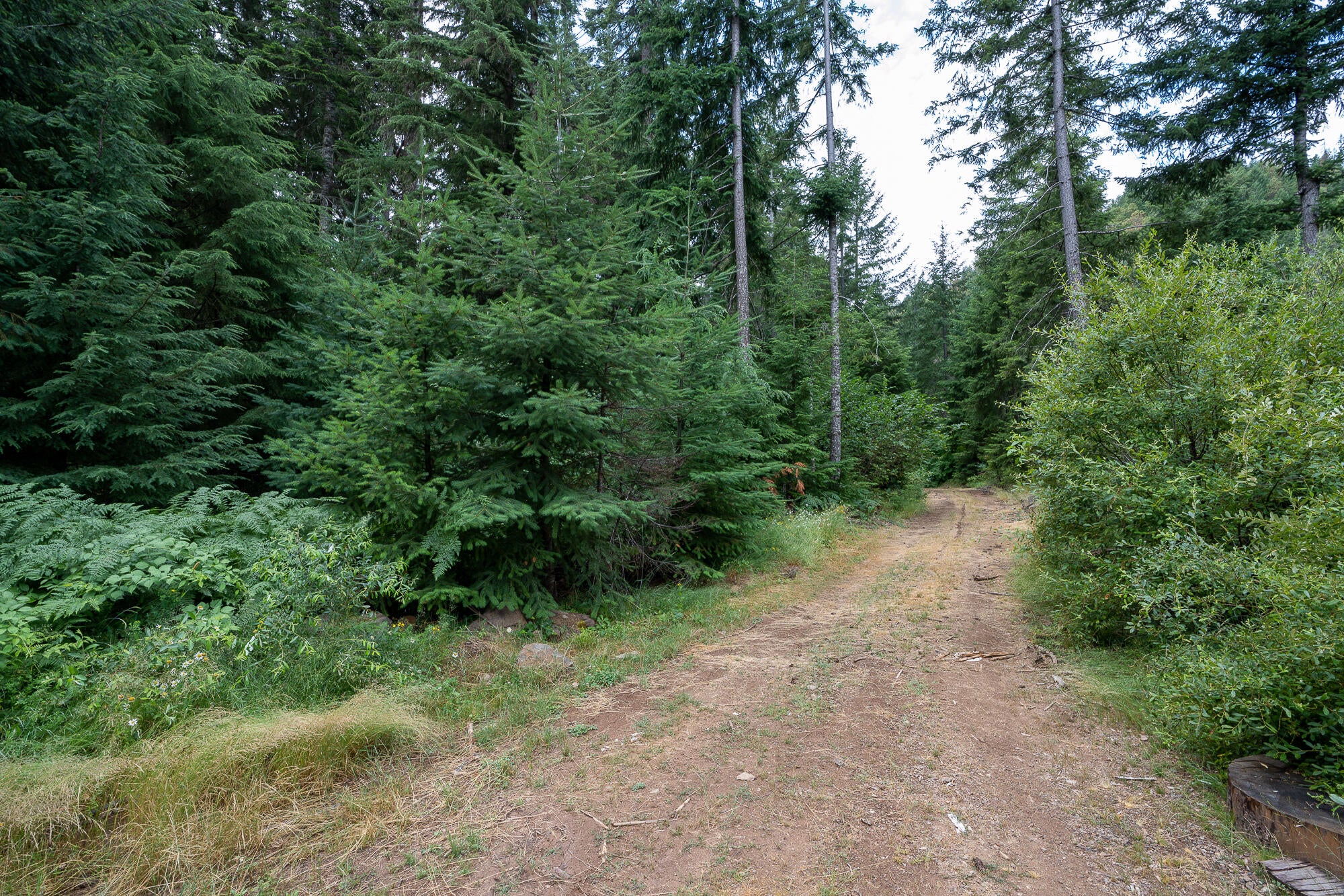 14083 Elk Creek Road Trail, OR 97541 - Photo 16 of 21 Pic 17