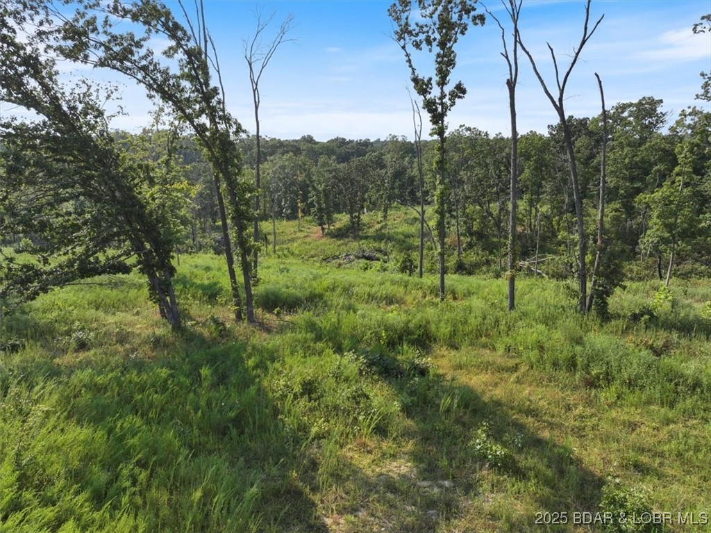 0 Old Tuscumbia Road Eldon, MO 65026 - Photo 8 of 10