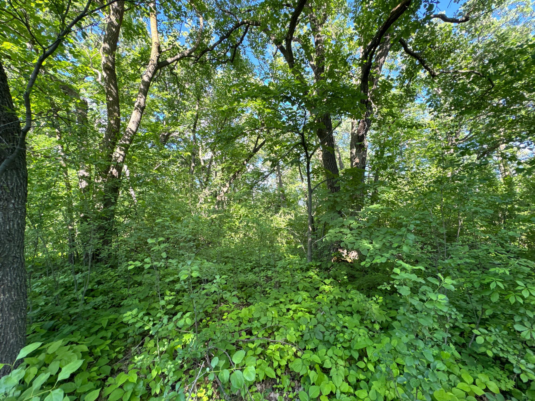 Xxxxx German Lake Road Underwood, MN 56586 - Photo 6 of 16