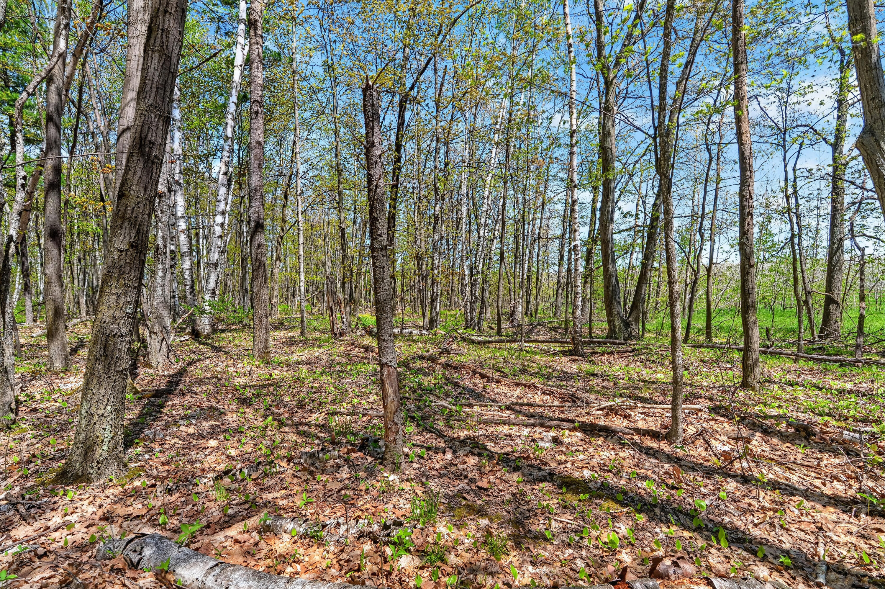 Parcel Old Orch Road, Unit 180221322812D Ellison Bay, WI 54210 - Photo 12 of 16 G - 4