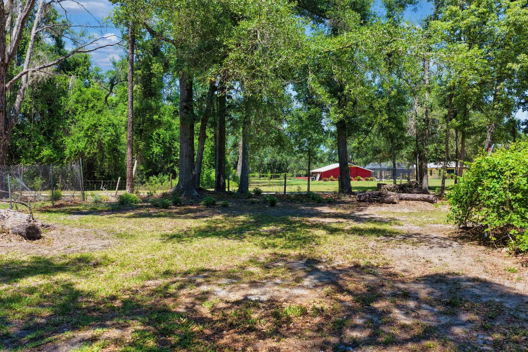 1997 Highway 221 Perry, FL 32347 - Photo 42 of 67 Gallery Image 42