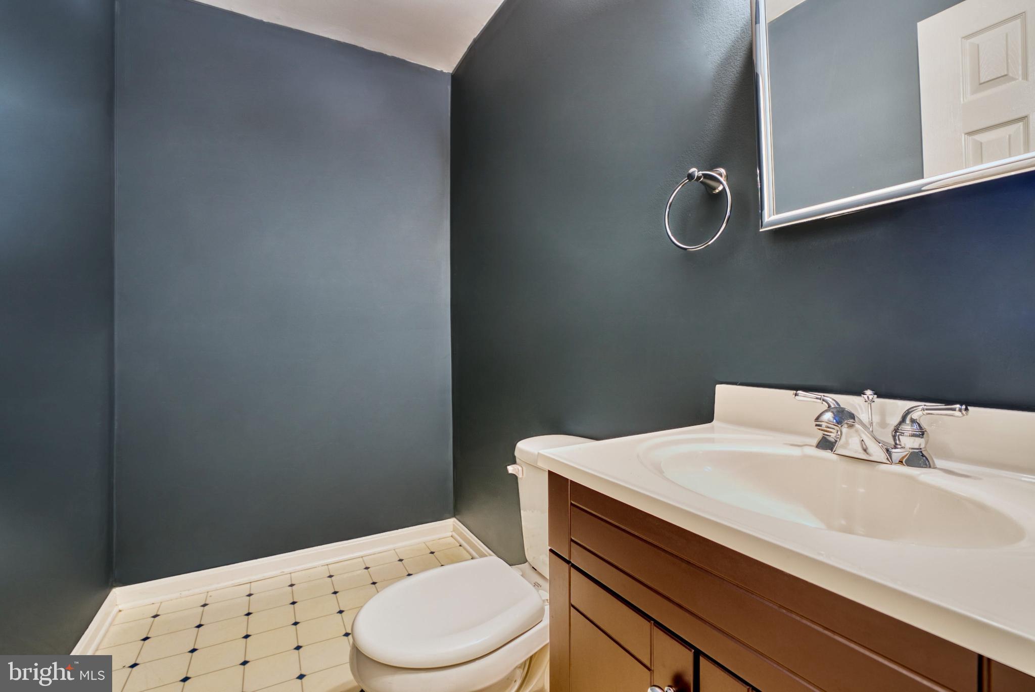 11719 Dry River Court Reston, VA 20191 - Photo 26 of 44 Lower Level Bathroom