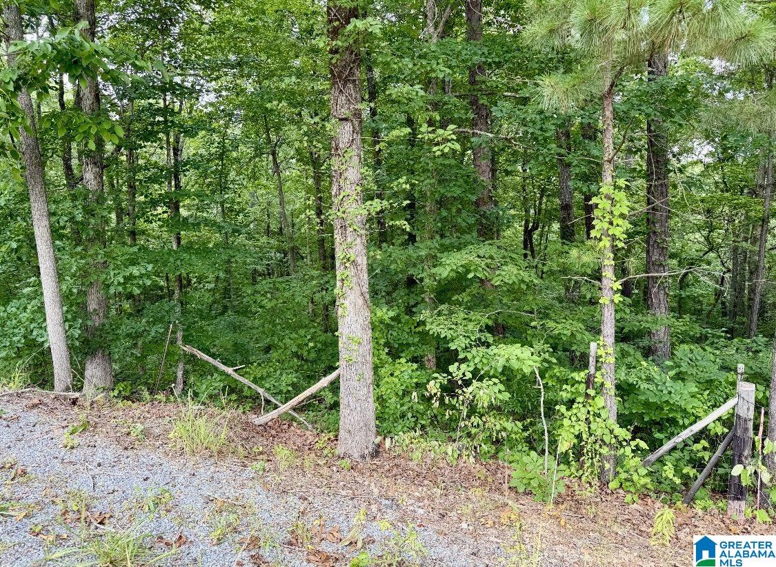 201 North Norton Road, Unit 5 & 6 Sylacauga, AL 35151 - Photo 8 of 9