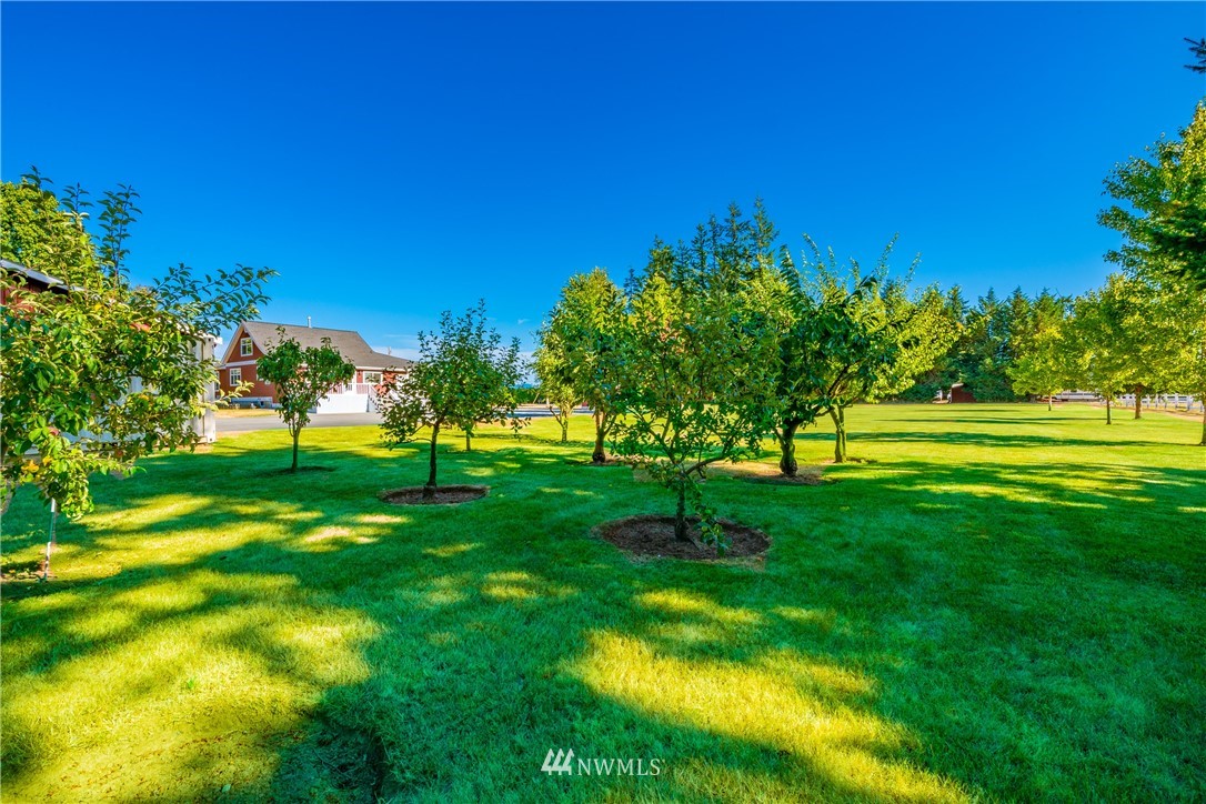 8293 Bob Hall Road Lynden, WA 98264 - Photo 14 of 40