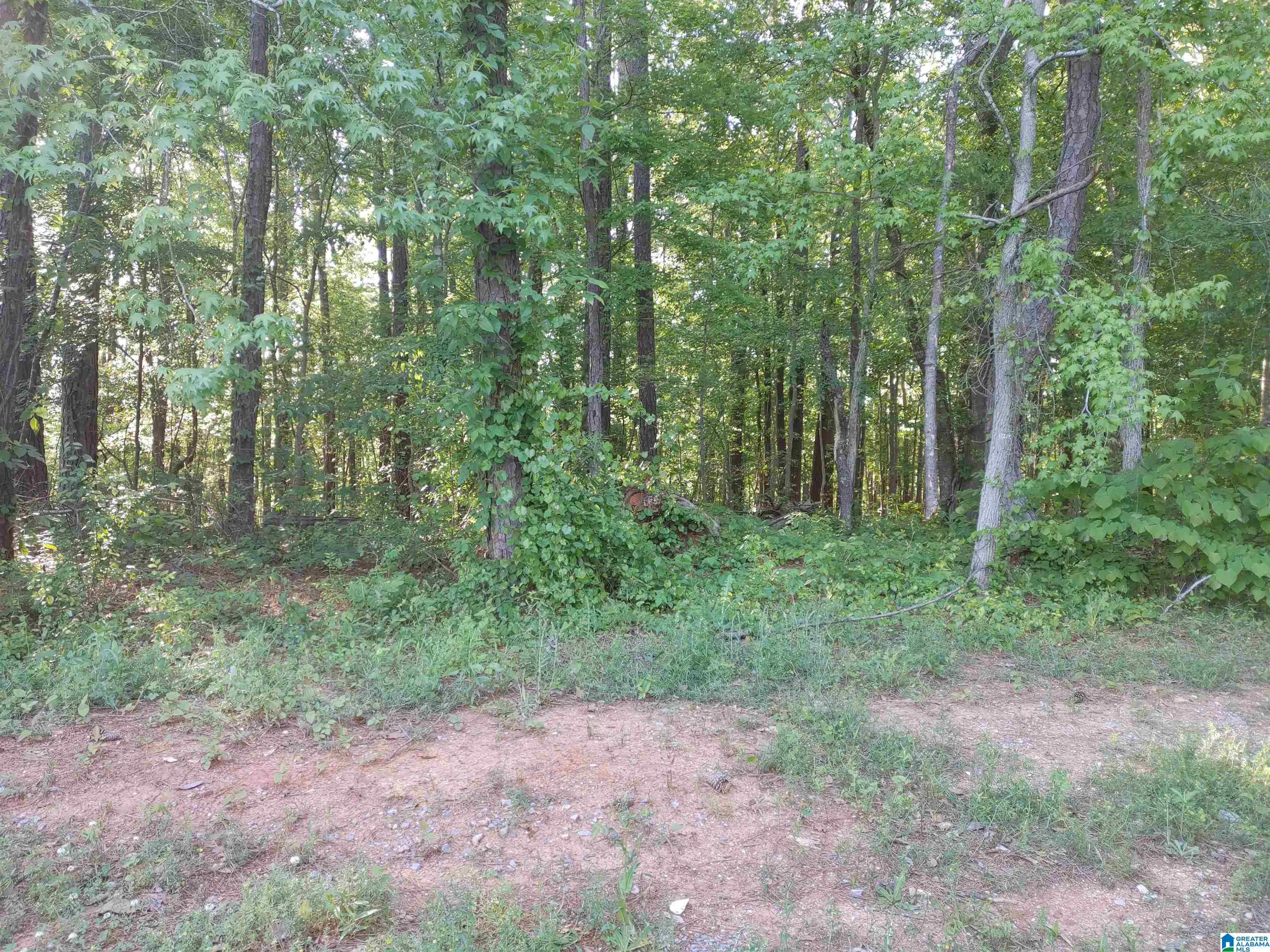 0 Cove Road, Unit 28 Sylacauga, AL 35151 - Photo 2 of 7
