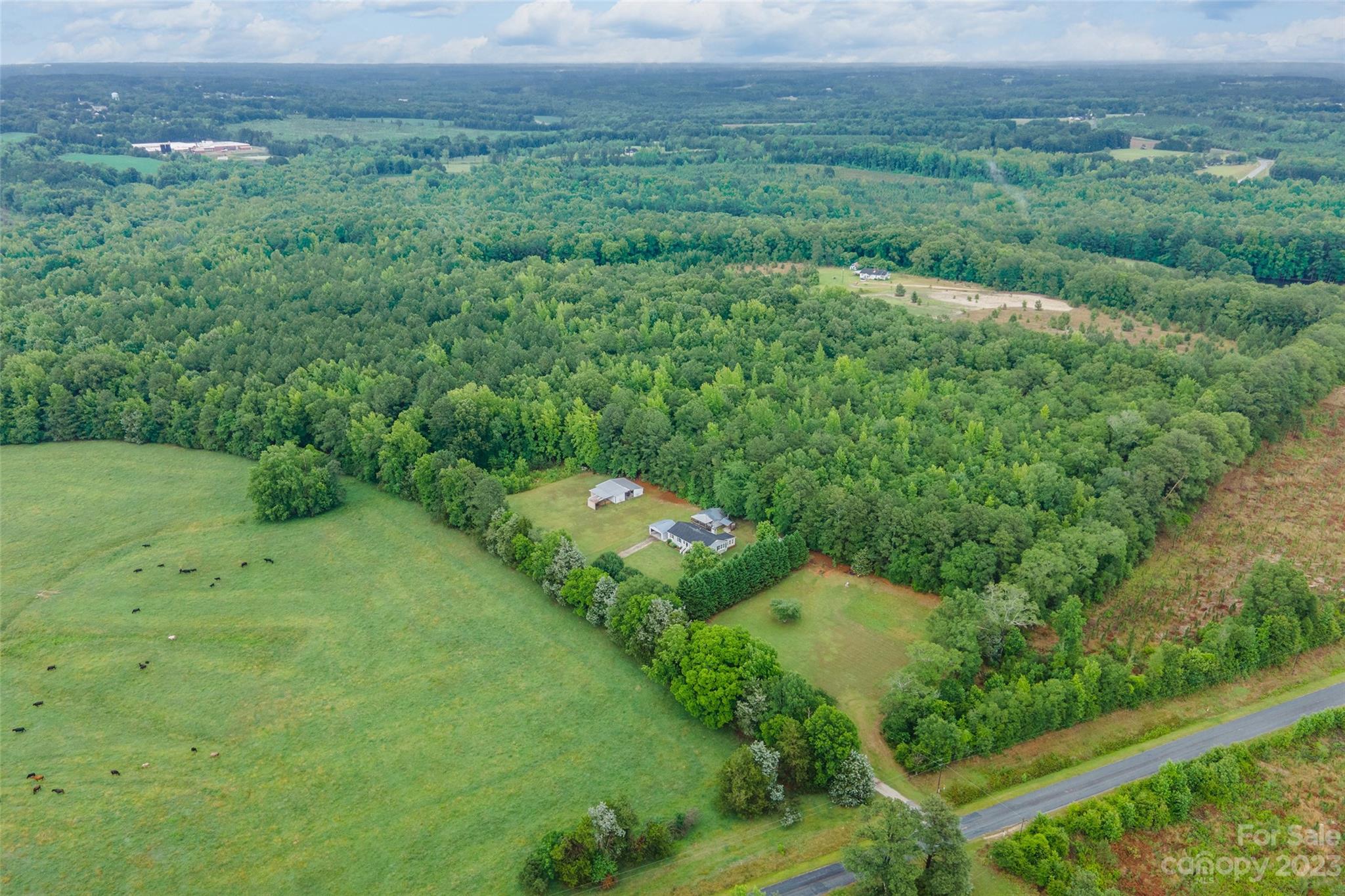 74 Joe Miller Road Jefferson, SC 29718 - Photo 28 of 29 a view of a big yard with lots of green space and mountain view in back