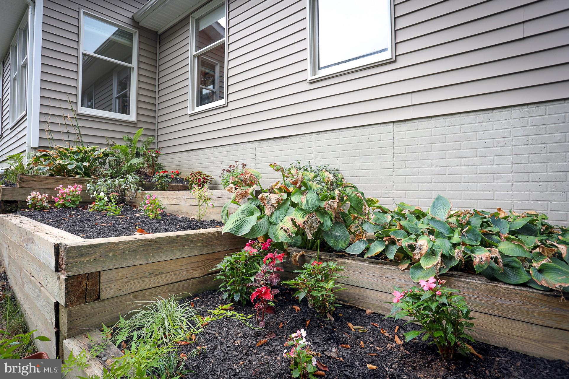 2219 Clark Place Silver Spring, MD 20902 - Photo 63 of 72 PLANTING BEDS ALONG THE RIGHT SIDE OF THE HOUSE