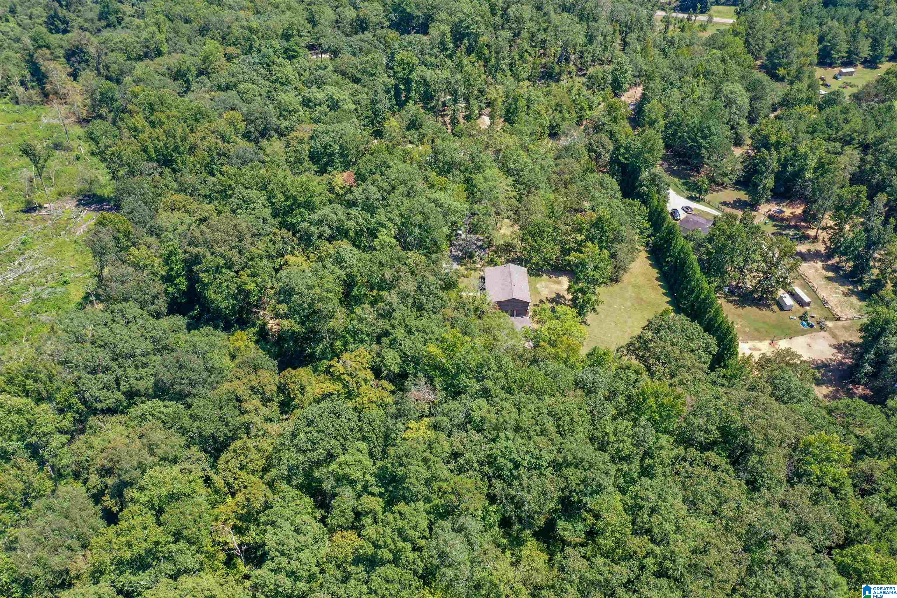 2415 Highway 45 Sterrett, AL 35147 - Photo 62 of 67