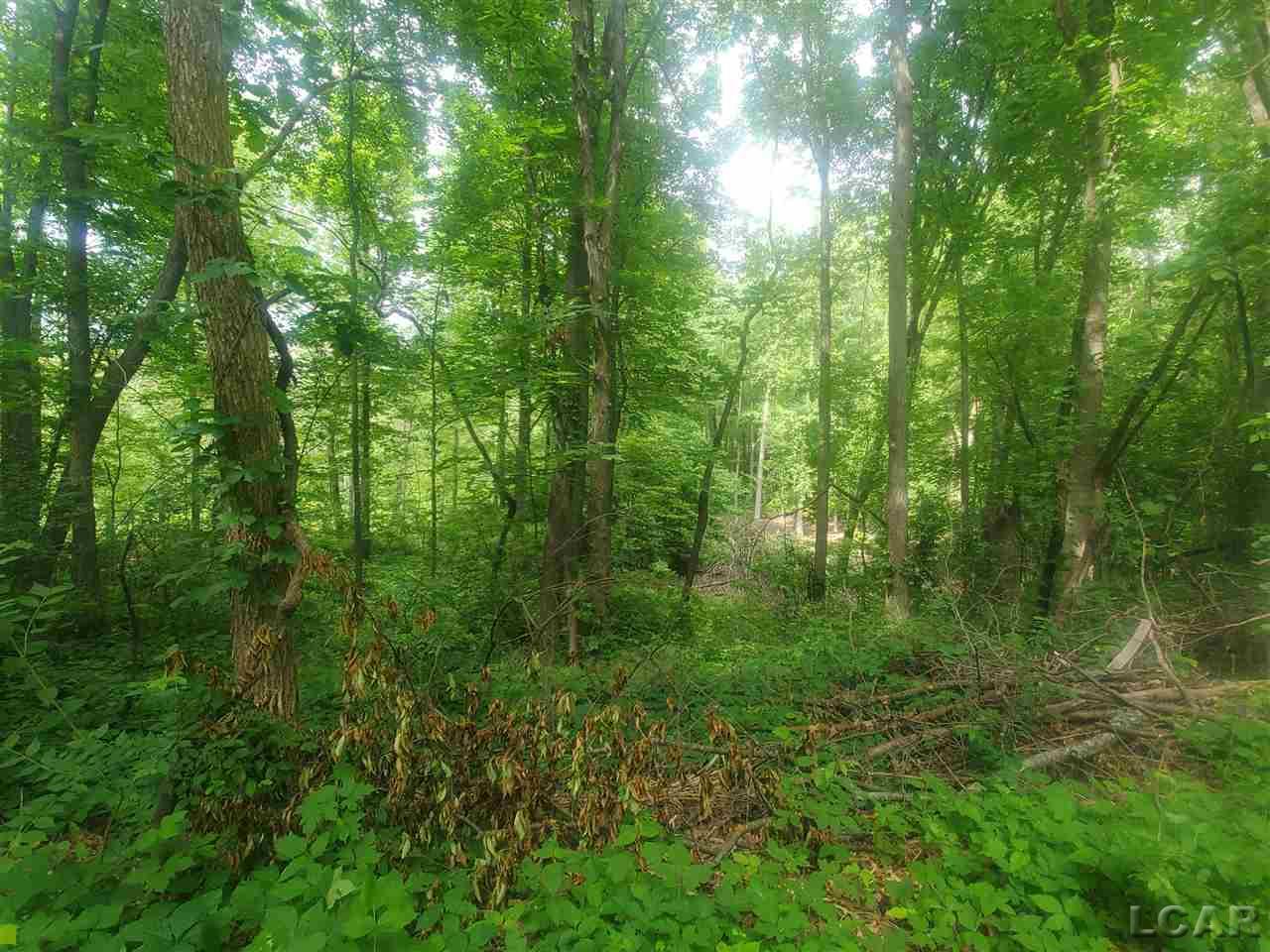 0 Shady Lane Tipton, MI 49287 - Photo 4 of 6