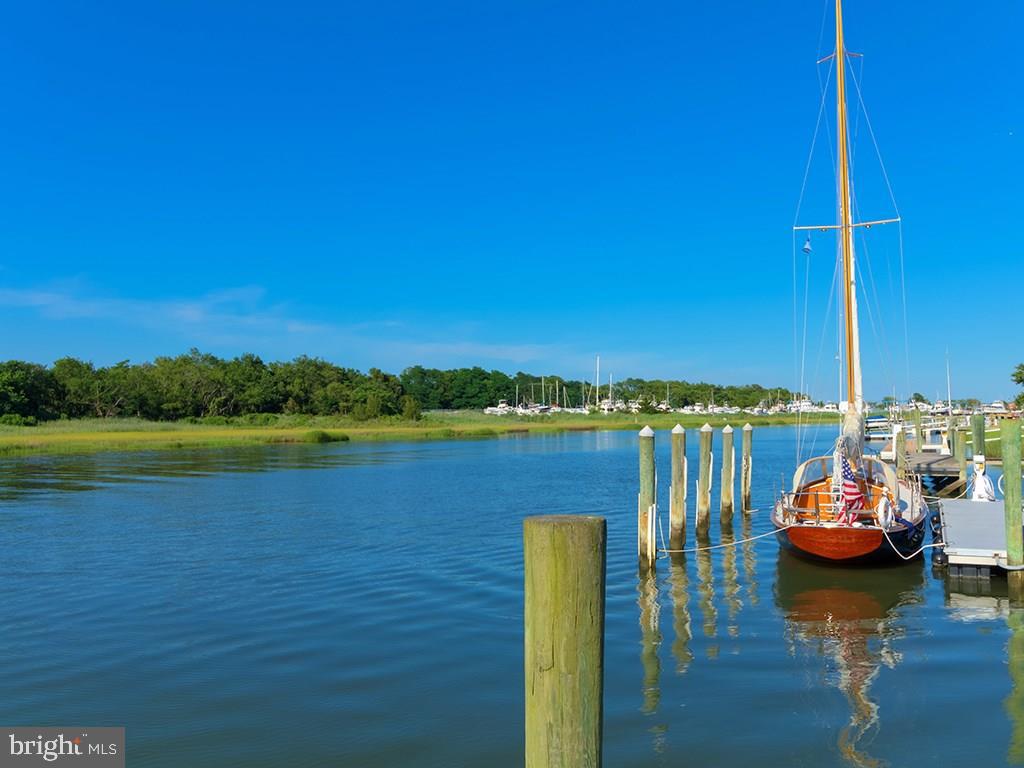 360 Pilottown Road Lewes, DE 19958 - Photo 42 of 45