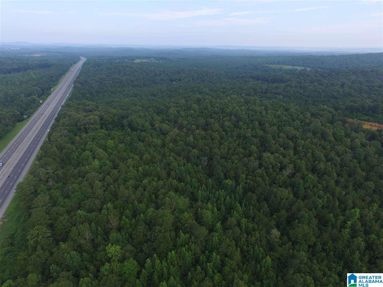 0 Morris Farms Drive Riverside, AL 35135 - Photo 13 of 18