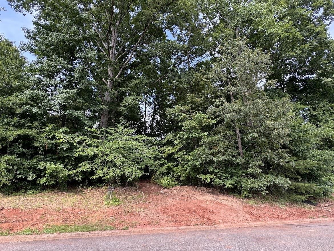 2025 Ivy Cottage Path Boiling Springs, SC 29316 - Photo 2 of 4 Gallery Image 2