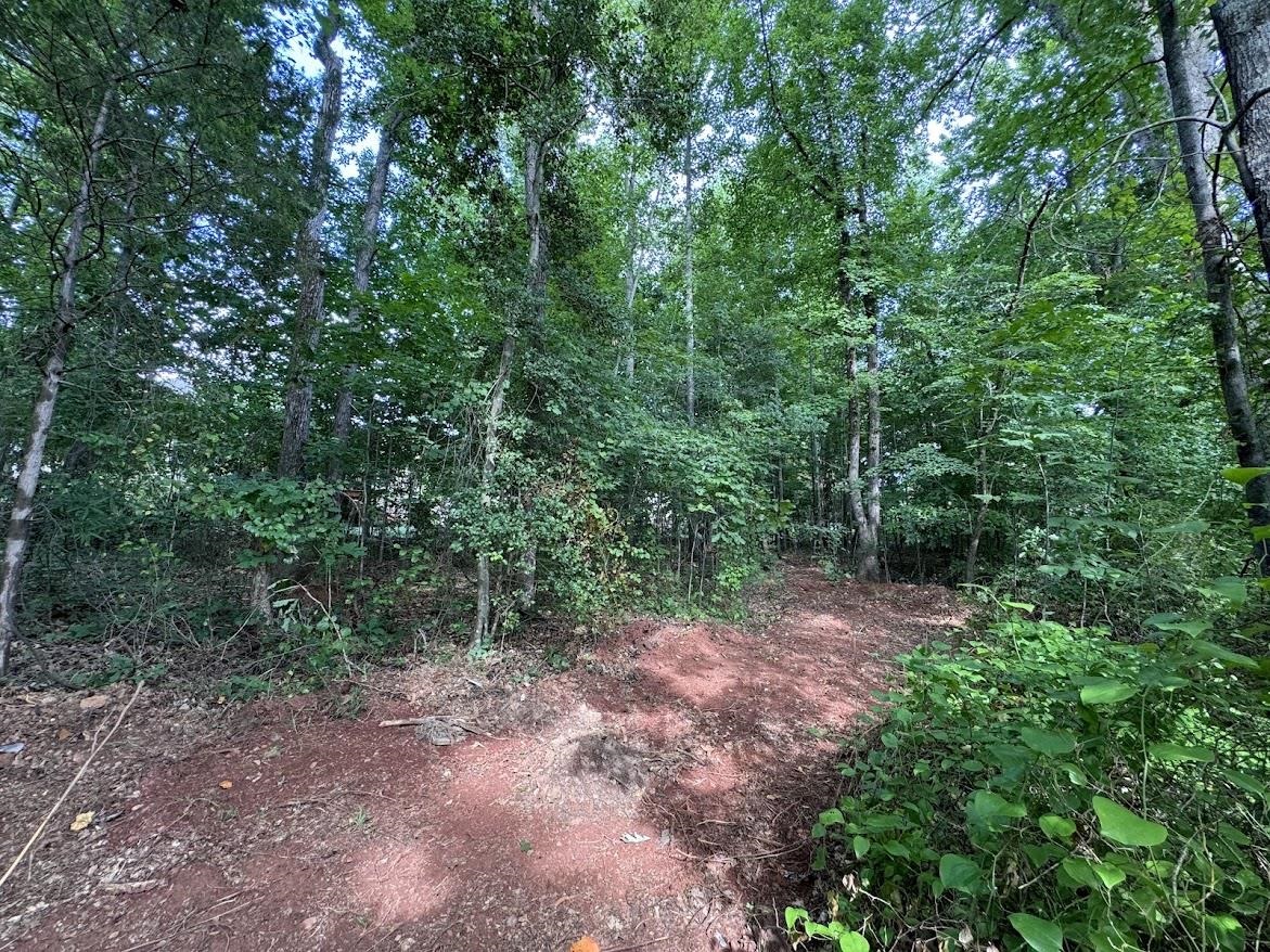 2025 Ivy Cottage Path Boiling Springs, SC 29316 - Photo 3 of 4 Gallery Image 3