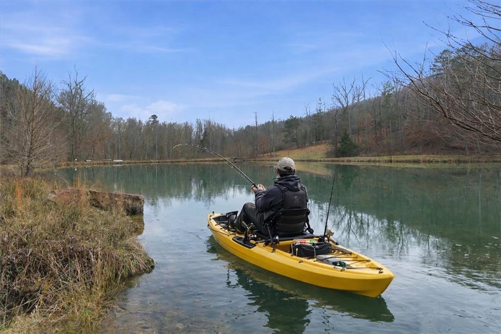 1478 Shinbone Valley Road LaFayette, GA 30728 - Photo 14 of 55