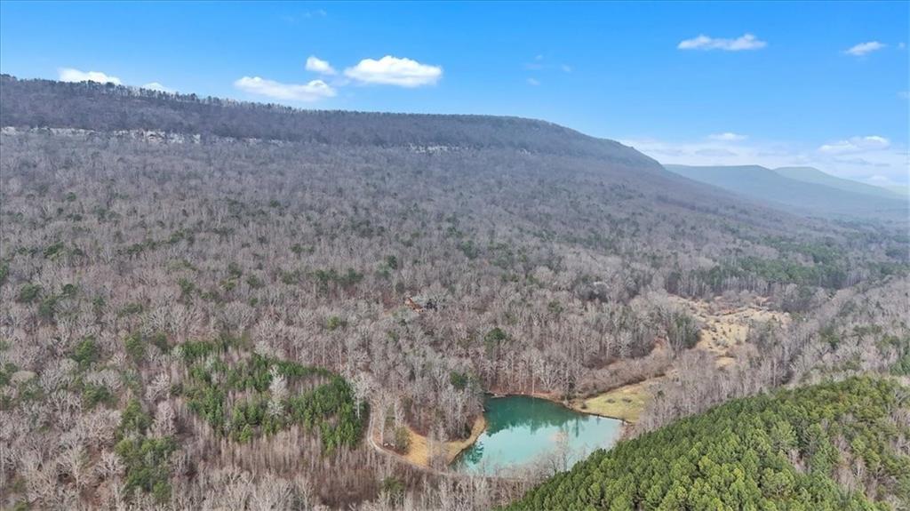 1478 Shinbone Valley Road LaFayette, GA 30728 - Photo 38 of 55