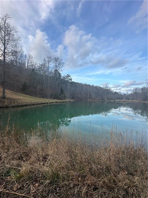 1478 Shinbone Valley Road LaFayette, GA 30728 - Photo 45 of 55