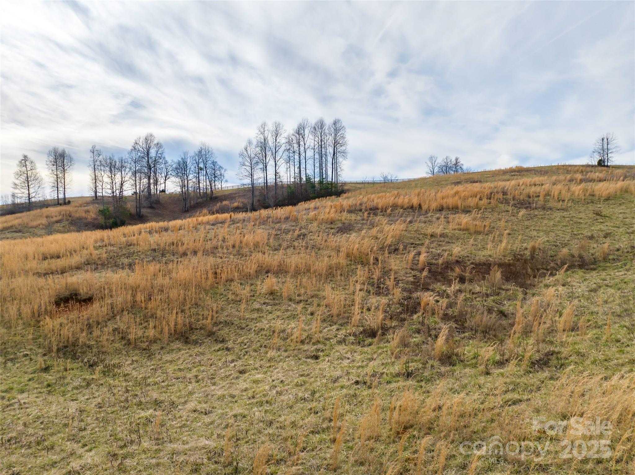 Lot 8-1 Whiteside Road Mill Spring, NC 28756 - Photo 17 of 20
