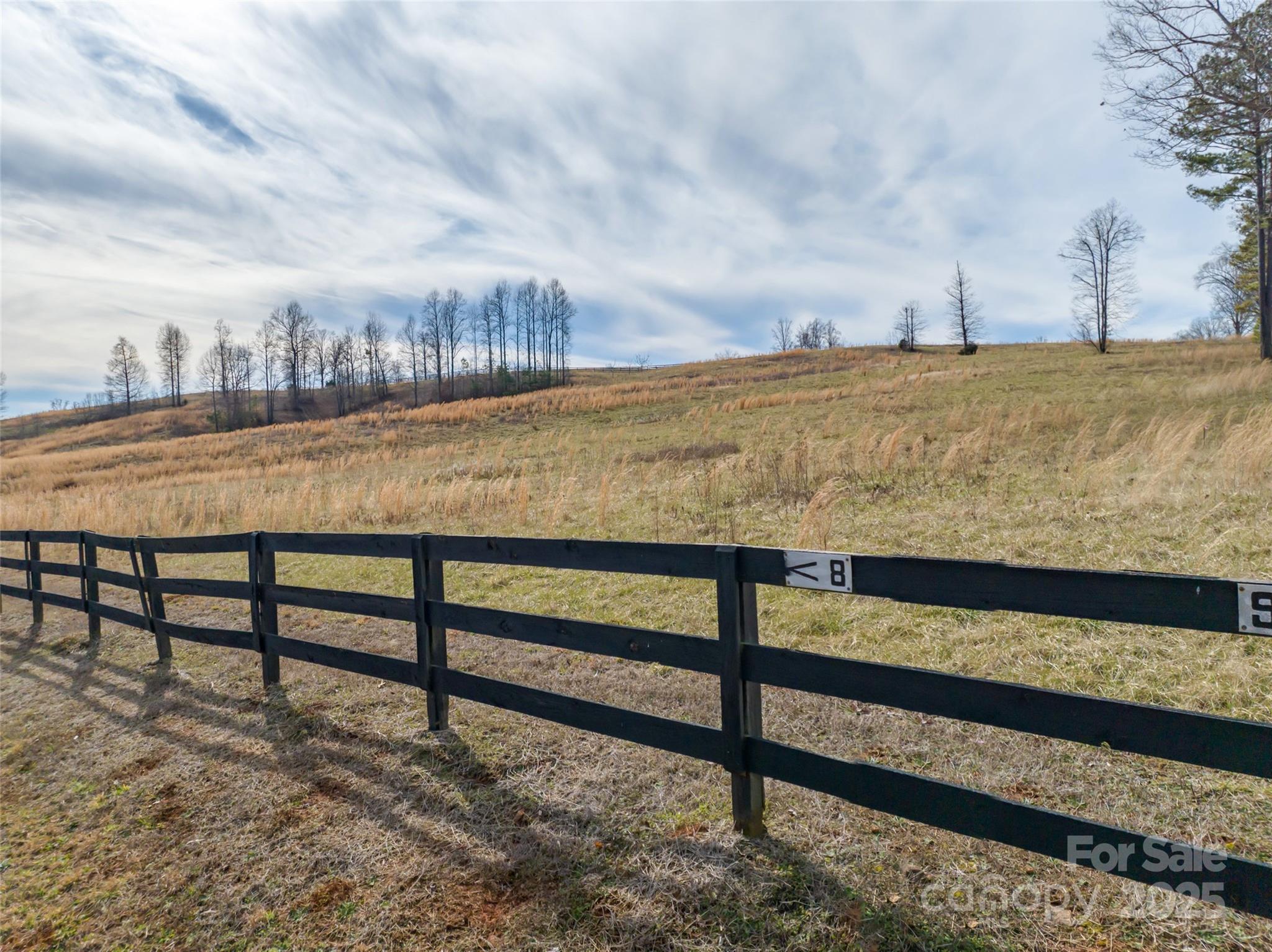 Lot 8-1 Whiteside Road Mill Spring, NC 28756 - Photo 4 of 20