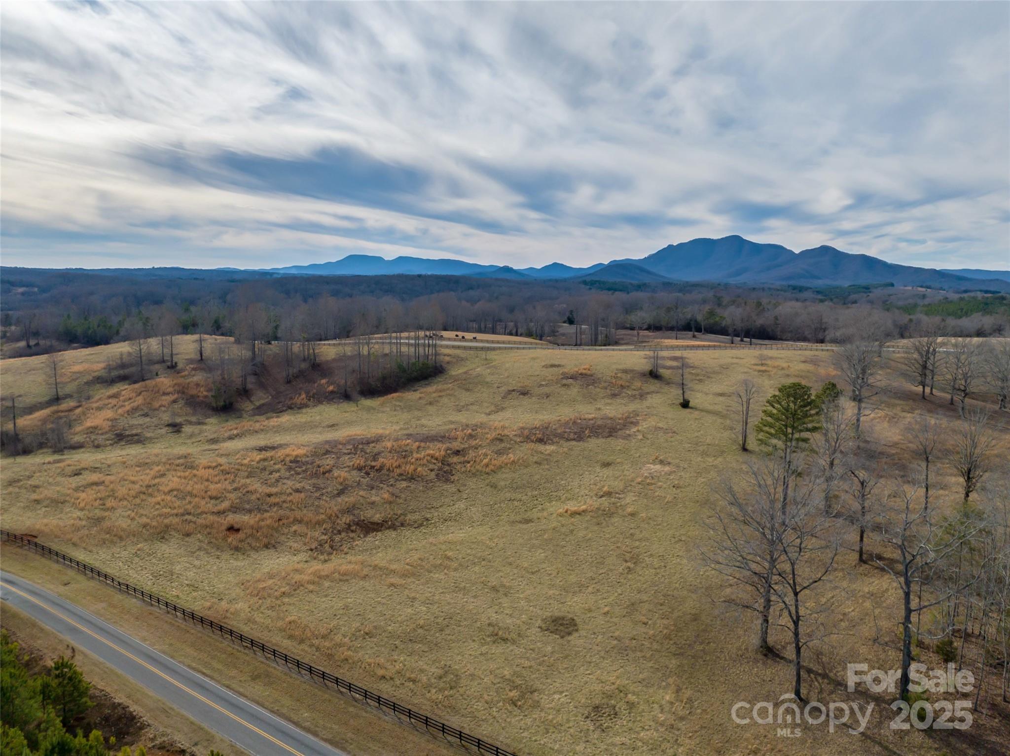 Lot 8-1 Whiteside Road Mill Spring, NC 28756 - Photo 5 of 20