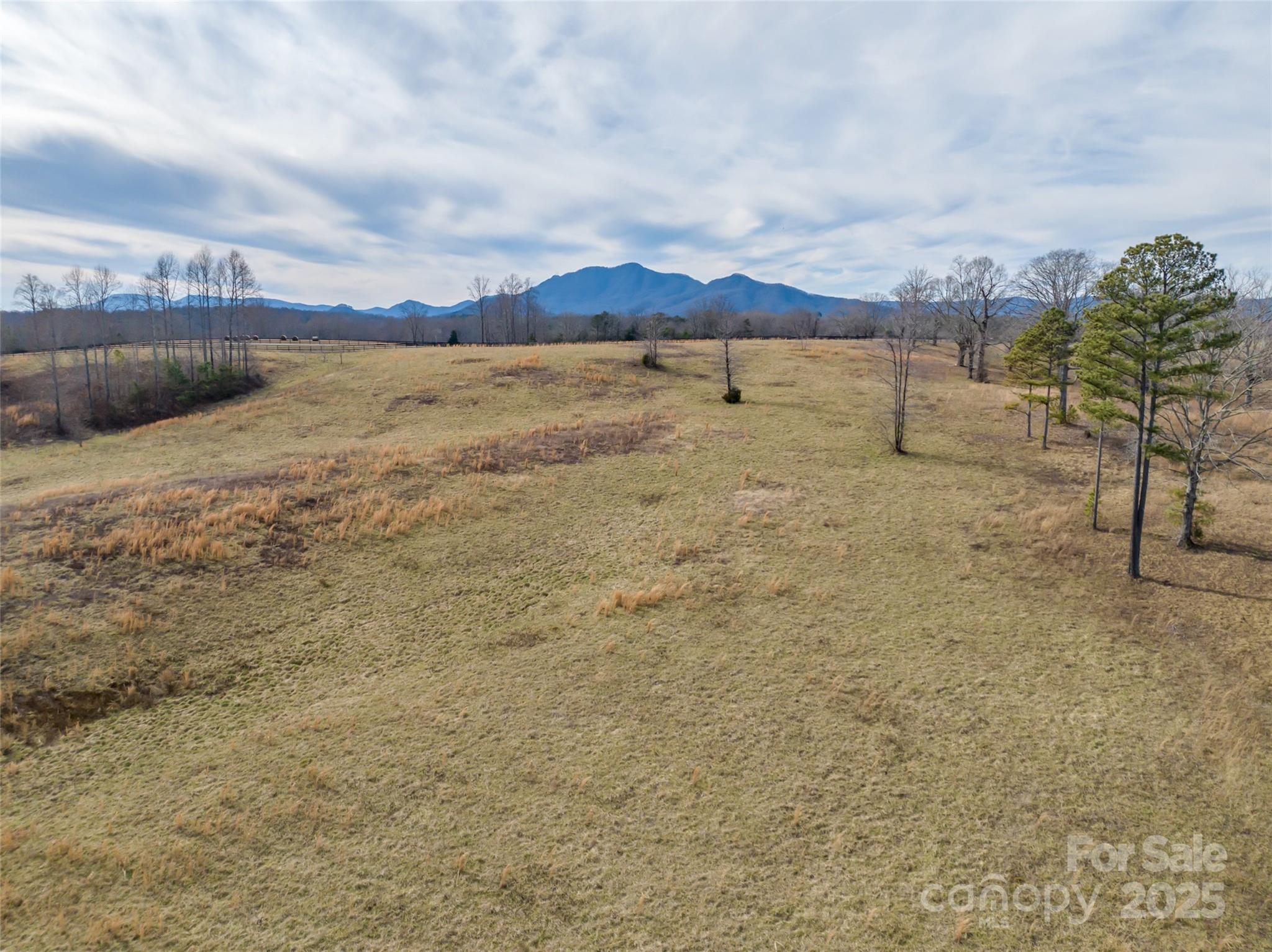 Lot 8-1 Whiteside Road Mill Spring, NC 28756 - Photo 7 of 20