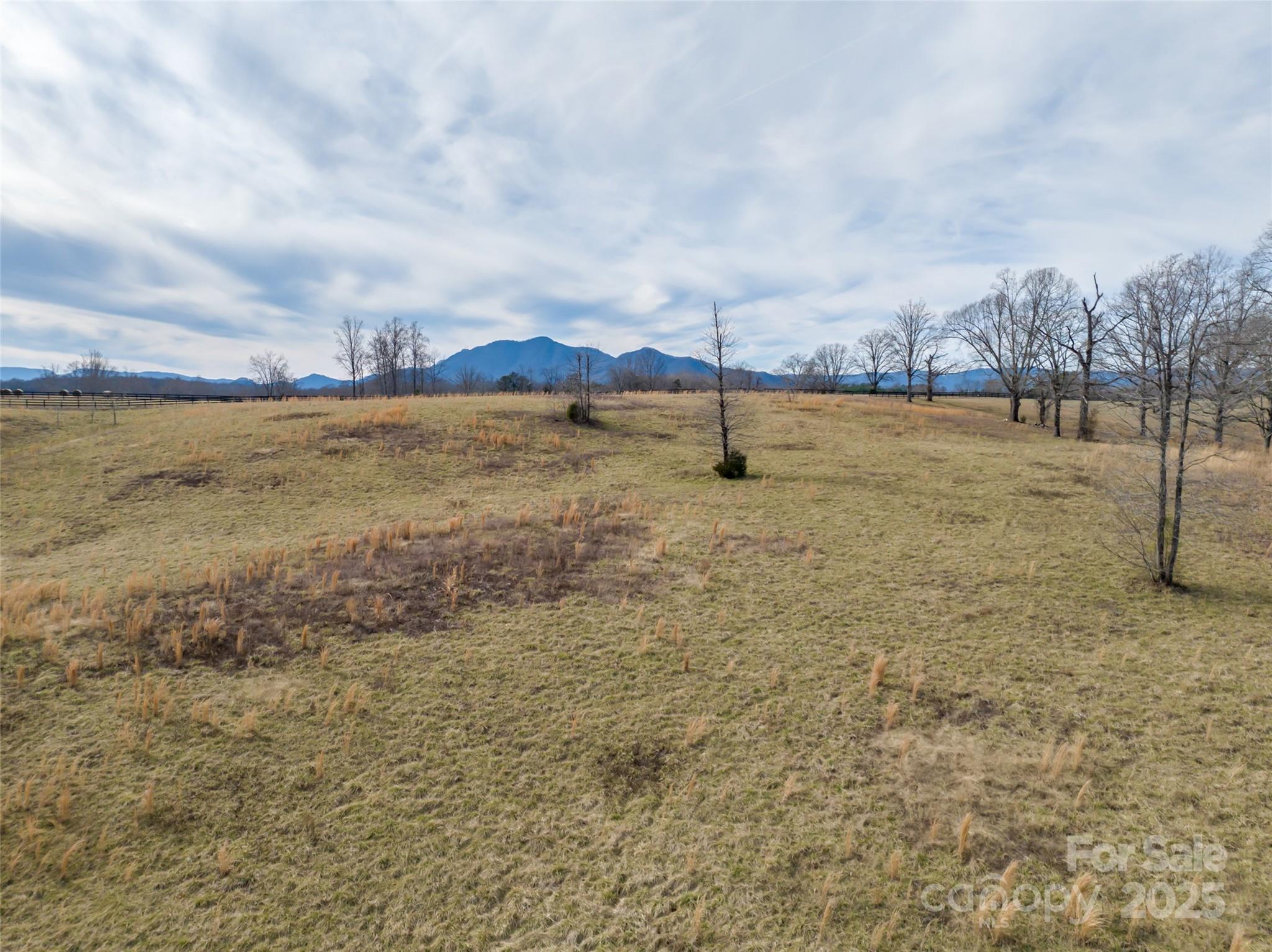 Lot 8-1 Whiteside Road Mill Spring, NC 28756 - Photo 8 of 20