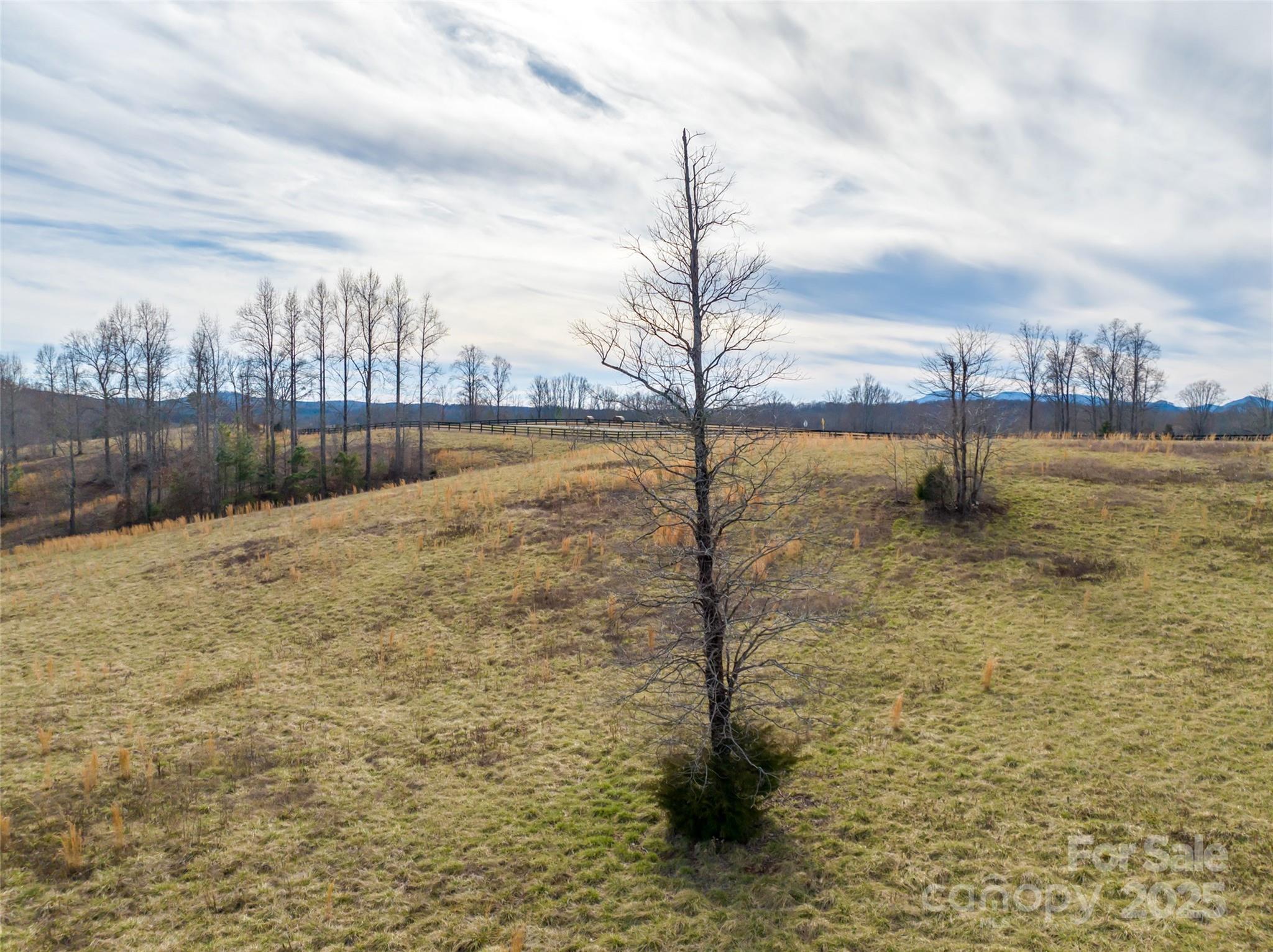 Lot 8-1 Whiteside Road Mill Spring, NC 28756 - Photo 10 of 20