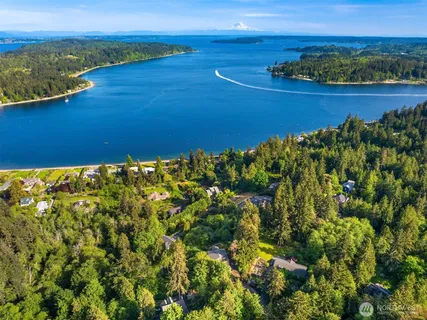 a view of a yard with a tree
