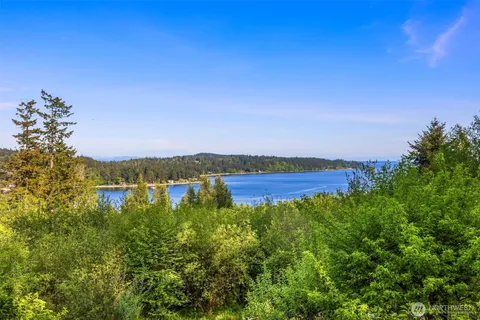 a view of a garden with plants and a building